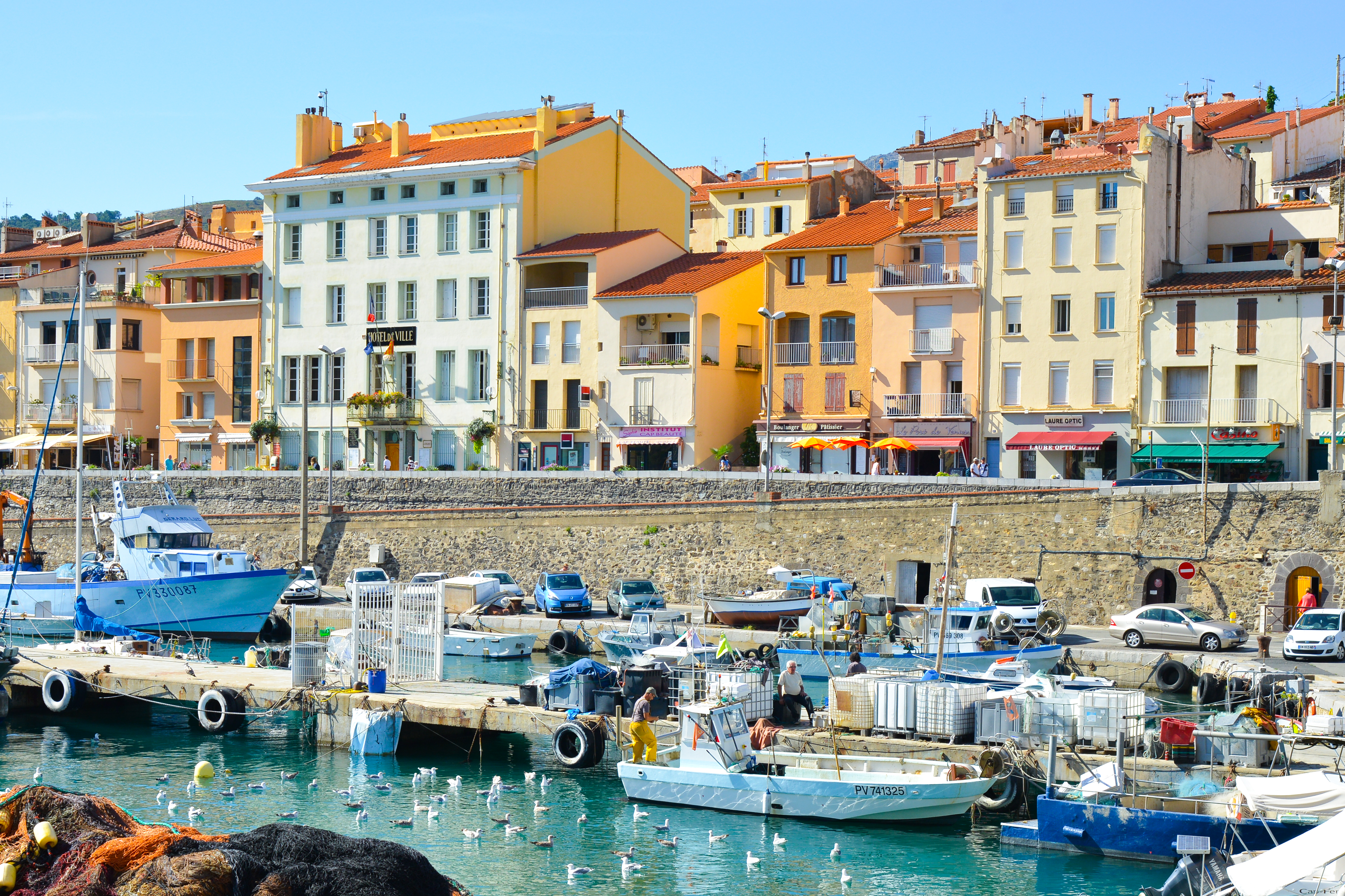 THE CATALAN COLORS